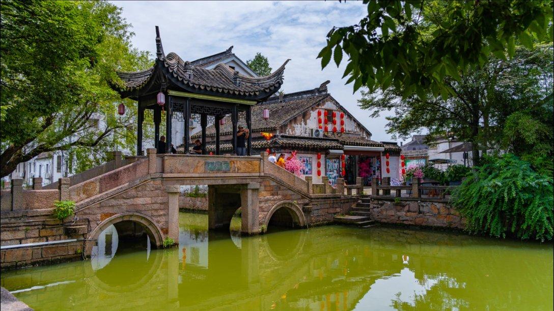 逗小猴开心系列209